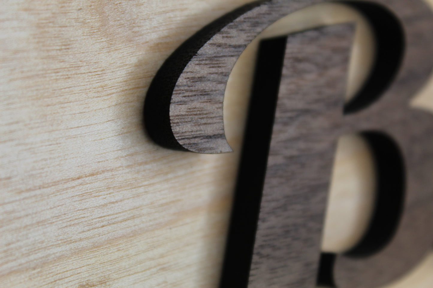 Personalized Alumni Sign | Custom School Pride Wood Sign