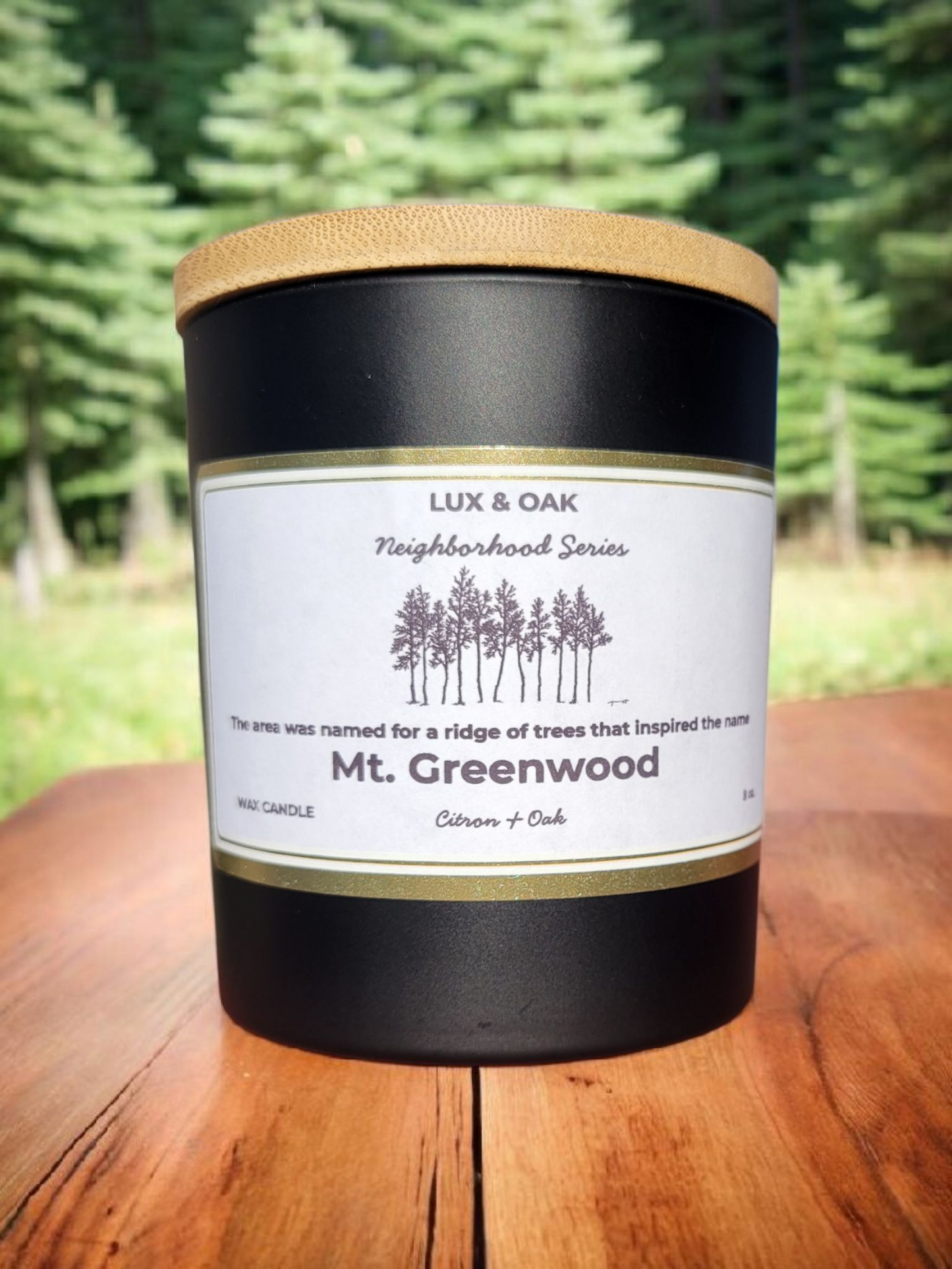 Chicago Neighborhood Candle Collection